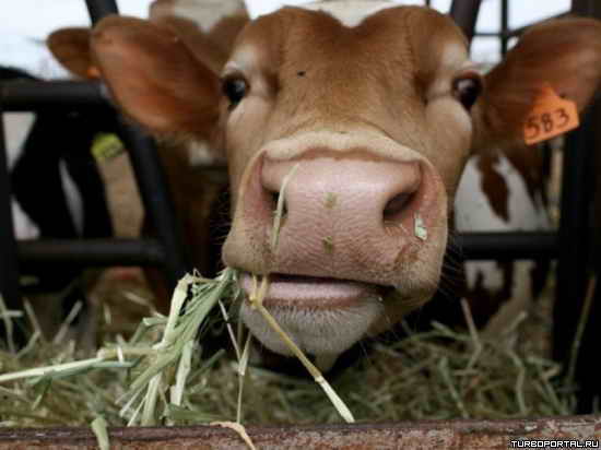 ��������� �������� ����� ����������� �� ����� ������ �� �����