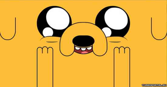 � ��� ��� ������� ���� ������ �����������.