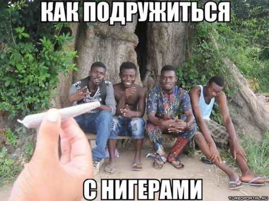 ��� ����������� ���������