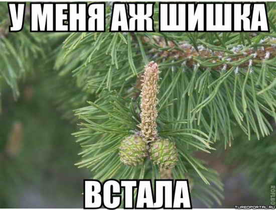 � ���� �� ����� ������