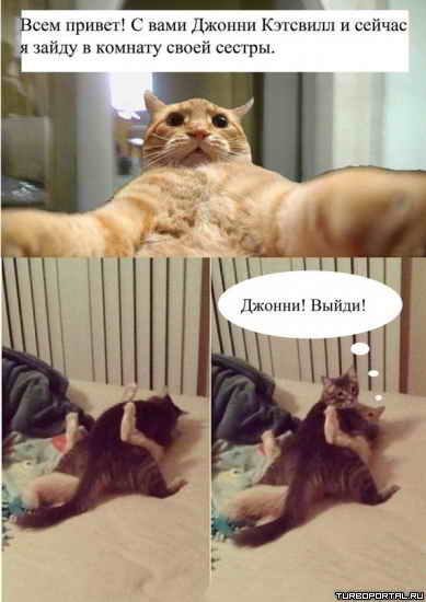 ���� ������! � ���� ������ ������� � ������ � ����� � ������� ����� ������. ������! �����!