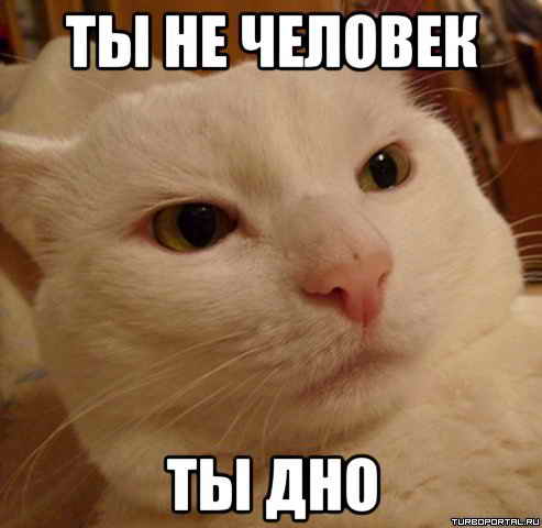 �� �� �������, �� ���.