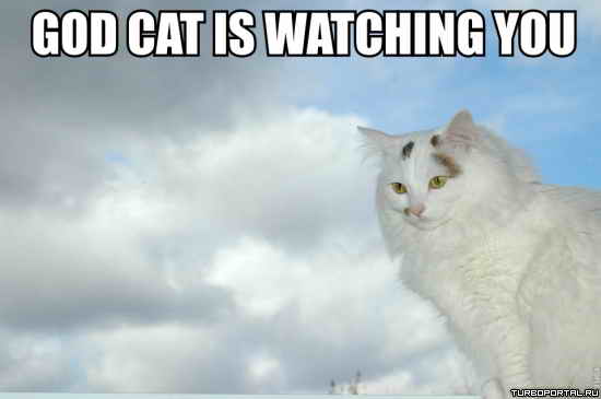 God cat is warching you - ������� ������� �� ����