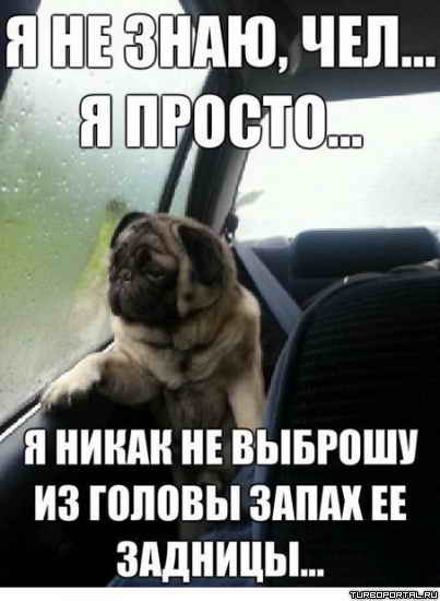 � �� ����, ���... � ������... � ����� �� ������� �� ������ ����� �� �������...