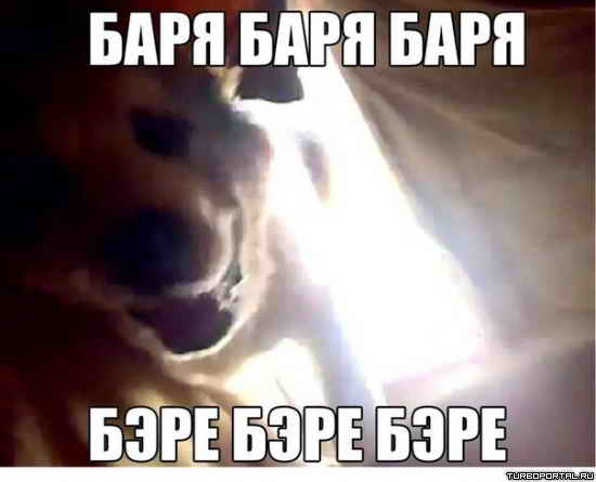 ���� ���� ���� - ���� ���� ����