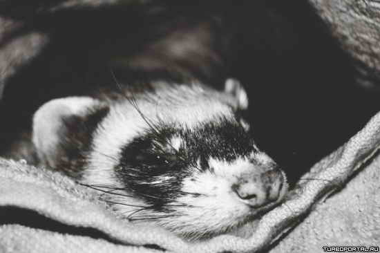 ��������! ���-�� �� ��� � ��������!