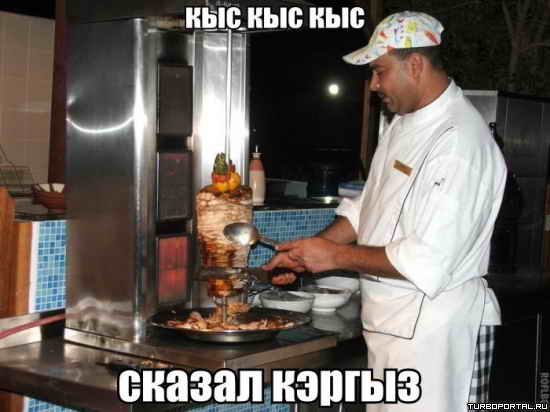 ��� ��� ��� ������ ������