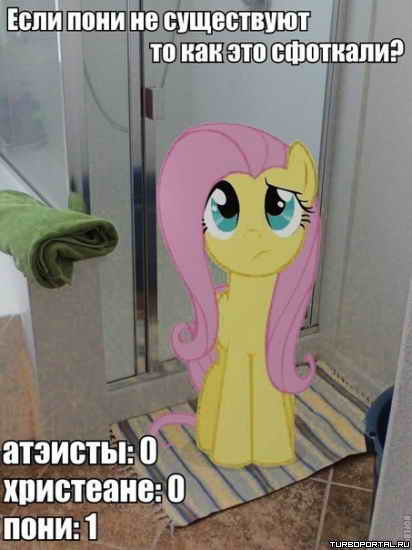 ���� ���� �� ���������� �� ��� ��� ��������?