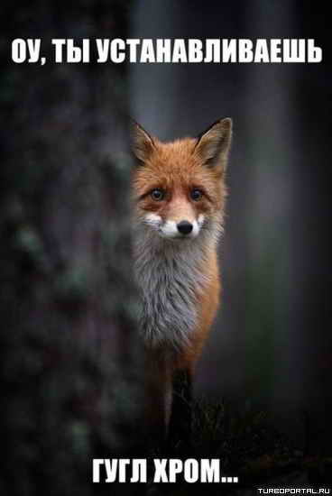 ��������� ���� � ��, �� �������������� ���� ����...