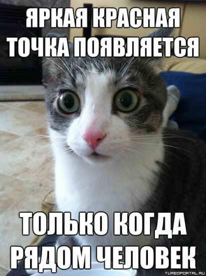 ����� ������� ����� ���������� ������ ����� ����� �������