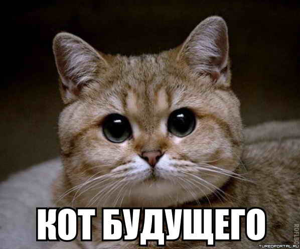 ��� ��������