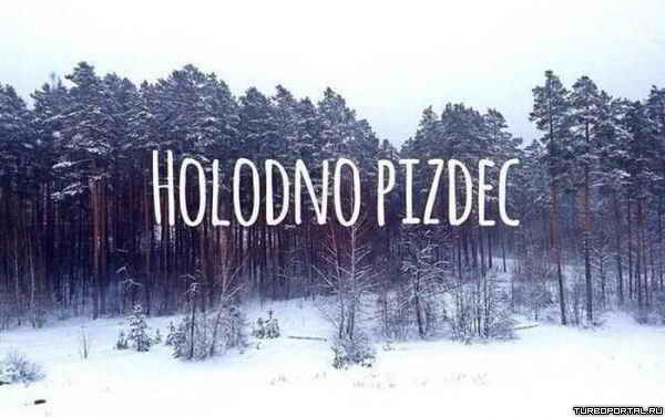 HOLODNO PIZDEC � ������� ������