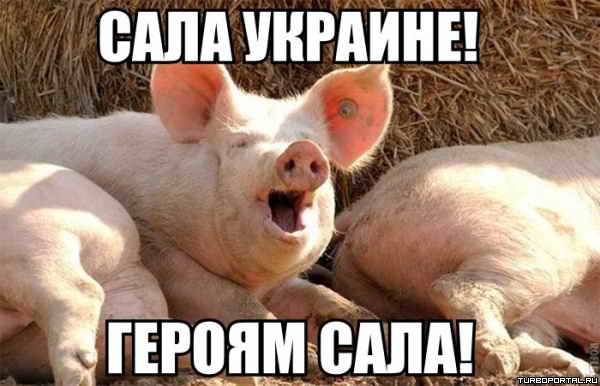 ���� �������! ������ ����!