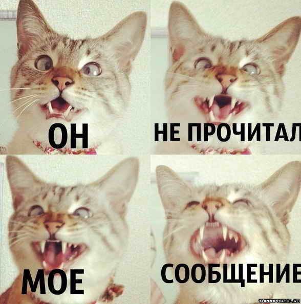 �� �� �������� ��� ���������