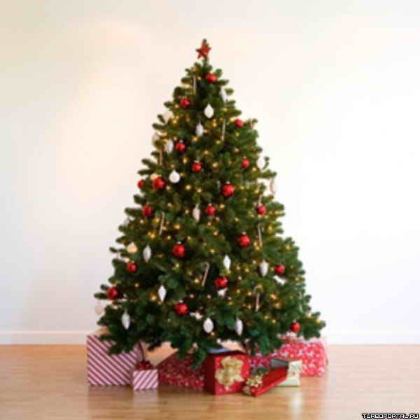 � ��������� ������� ������� ���� ��-�� ���������� ����.