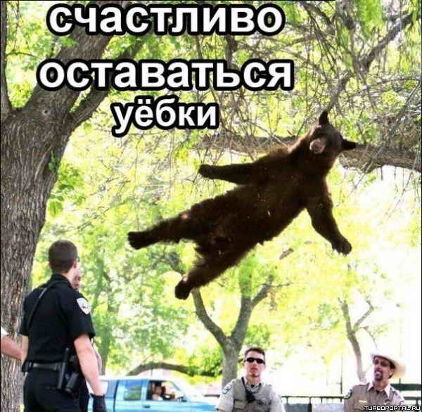 ��������� ���������� ����