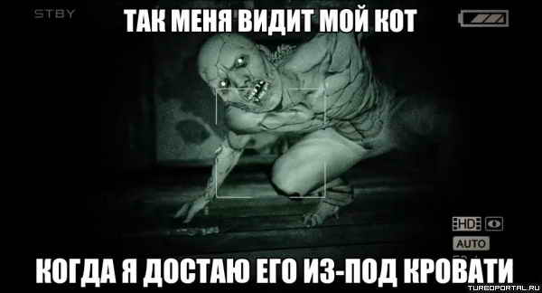 ��� ���� ����� ��� ��� ����� � ������ ��� �� ��� �������