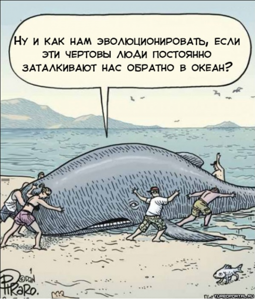 �� � ��� ��� ����������������