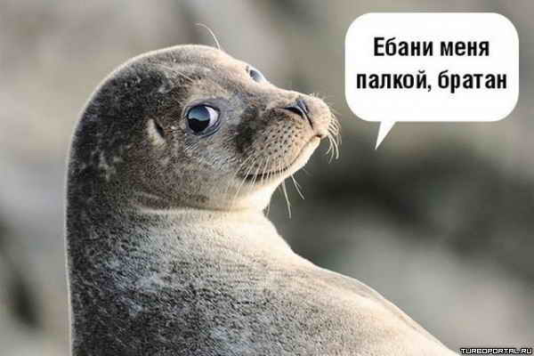 ������ � ����� ���� ������, ������