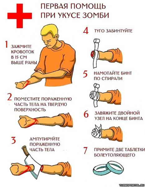 ������ ������ ��� ����� �����