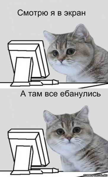 ������ � �����. � ��� ��� ���������.