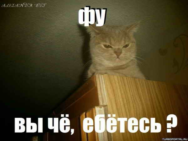 �� �� ��, ������?