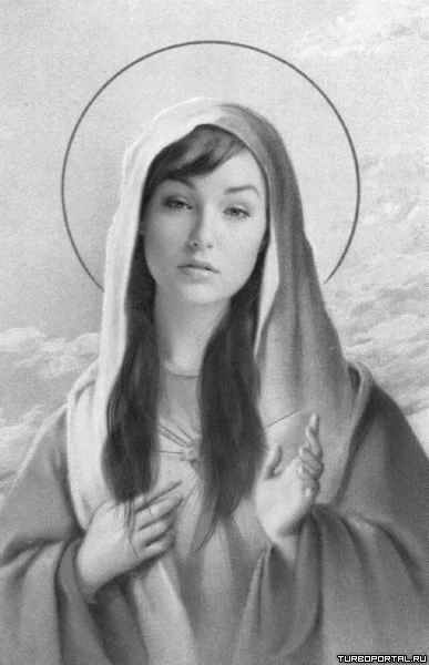 C��� ���� �����