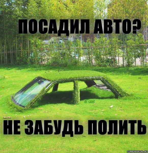 ������� ����? �� ������ ������