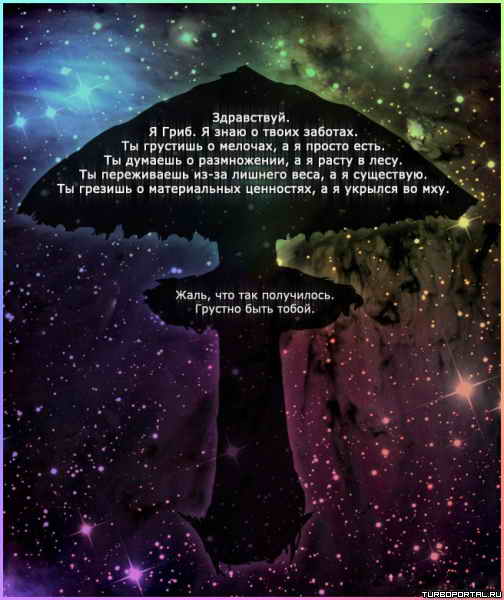 ����������. � ����. � ���� � ����� �������.