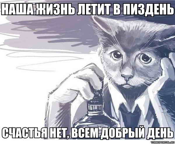 ���� ����� ����� � ������� ������� ���, ���� ������ ����