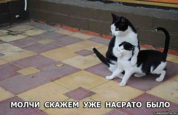 ����� ������ ��� ������� ����