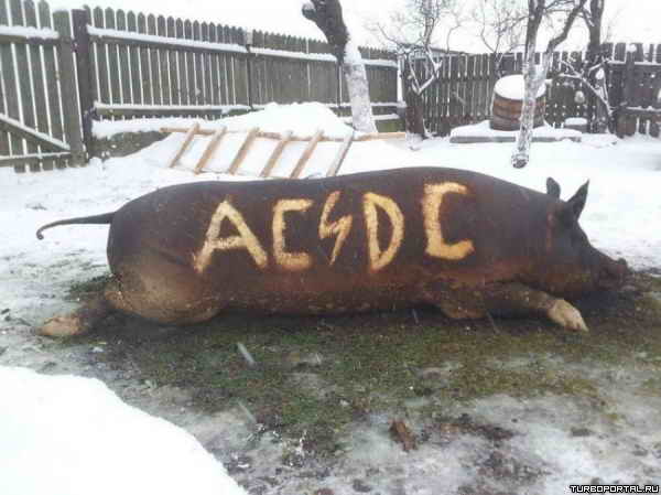 ������ �� ������� �������� AC/DC
