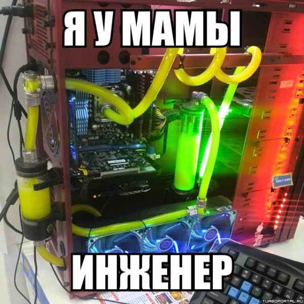 � � ���� �������