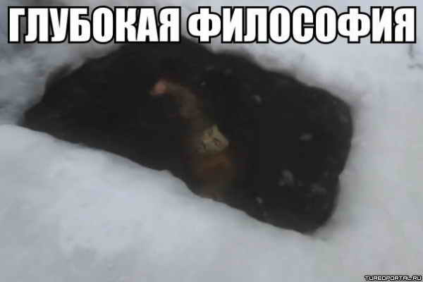 �������� ���������