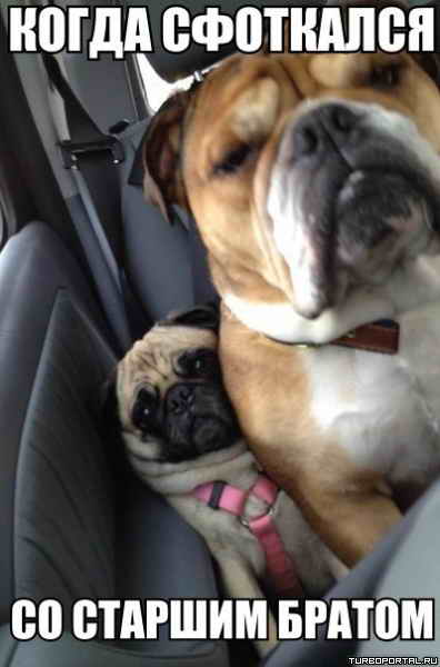 ����� ��������� �� ������� ������