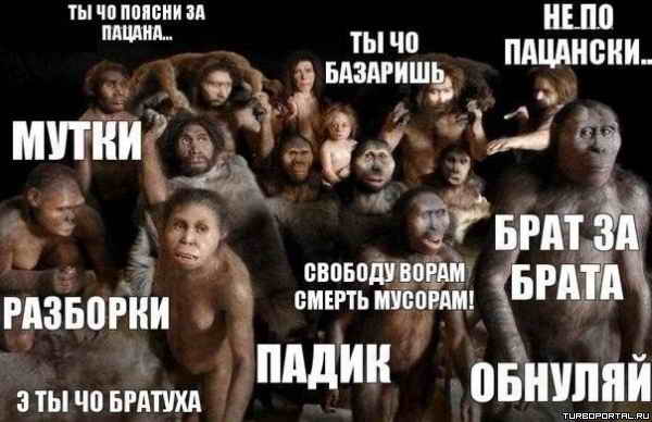 ����� �������� ����������� �����