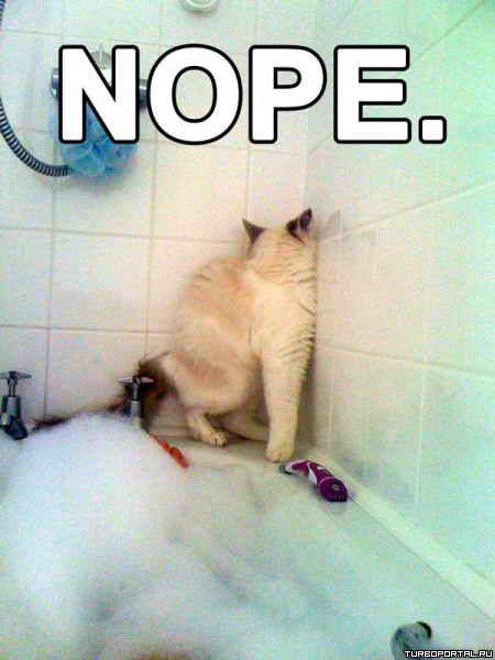 Nope - �����