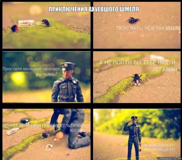 ����������� ��������� �����