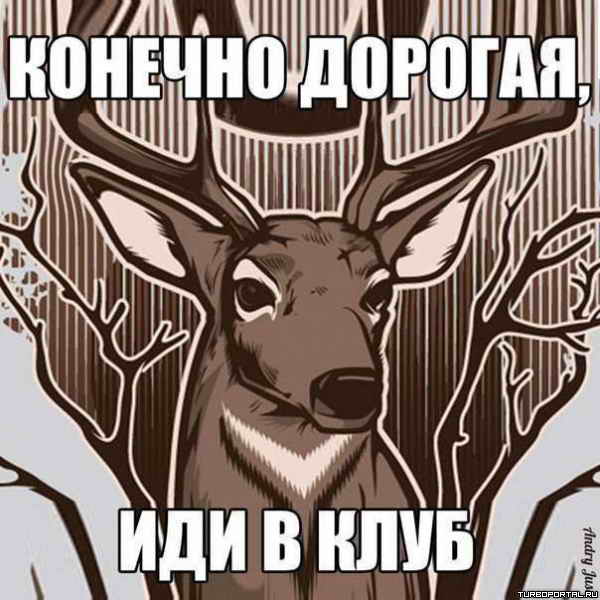 ������� �������, ��� � ����