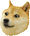 doge